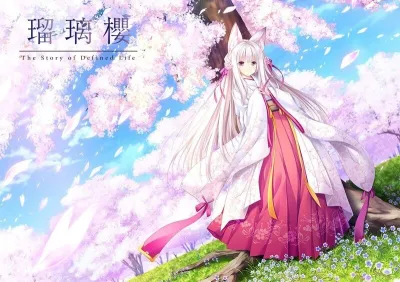 【PC+KRKR+安卓直装】琉璃樱｜Rurizakura